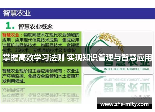 掌握高效学习法则 实现知识管理与智慧应用 掌握高效学习法则 实现知识管理与智慧应用