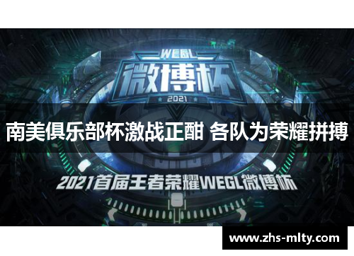 南美俱乐部杯激战正酣 各队为荣耀拼搏 南美俱乐部杯激战正酣 各队为荣耀拼搏