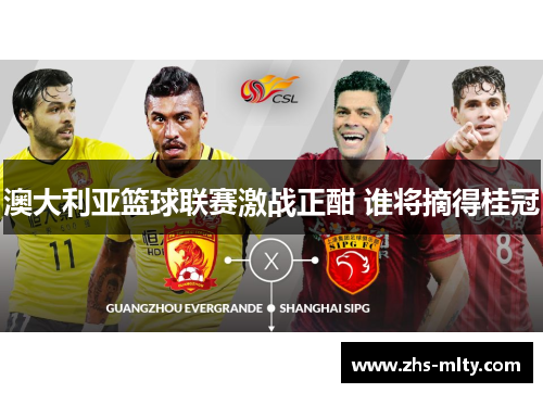 澳大利亚篮球联赛激战正酣 谁将摘得桂冠 澳大利亚篮球联赛激战正酣 谁将摘得桂冠